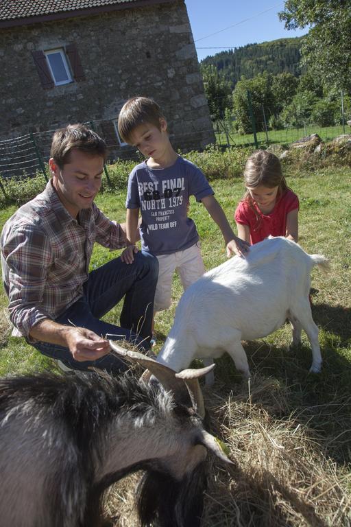 Vvf Haute Loire Haute Ardeche Tence Eksteriør bilde