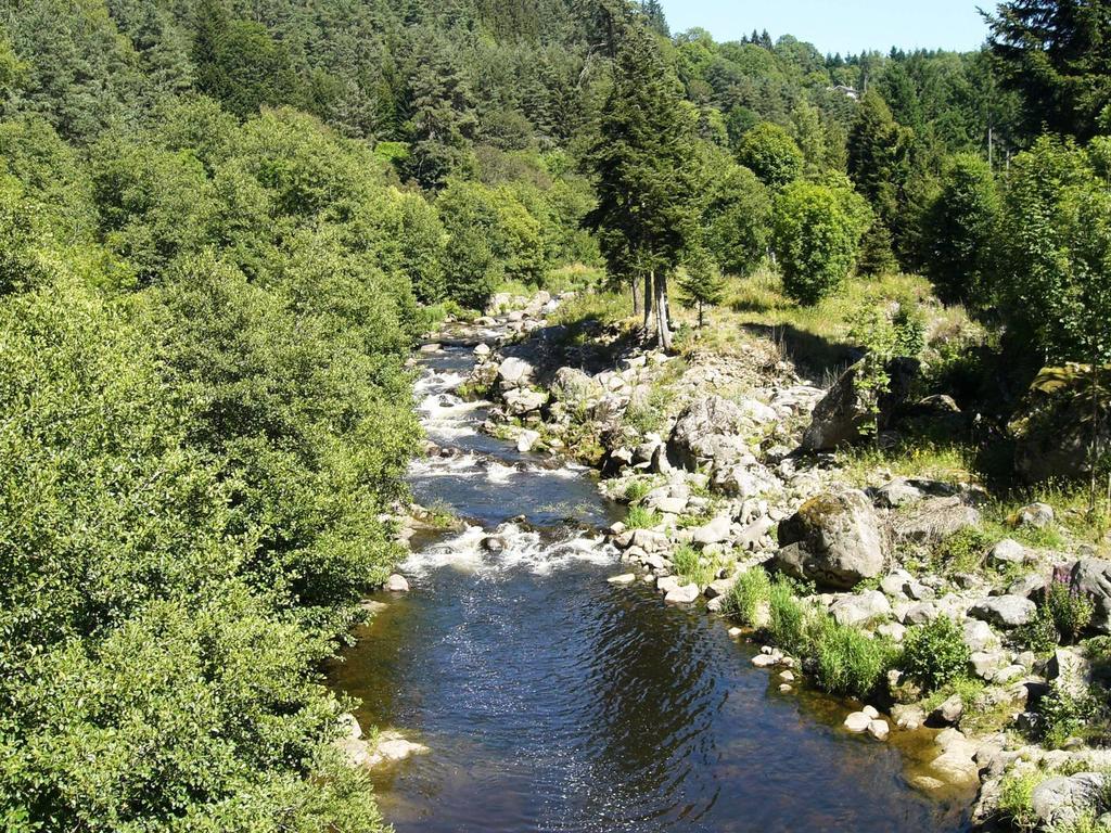 Vvf Haute Loire Haute Ardeche Tence Eksteriør bilde